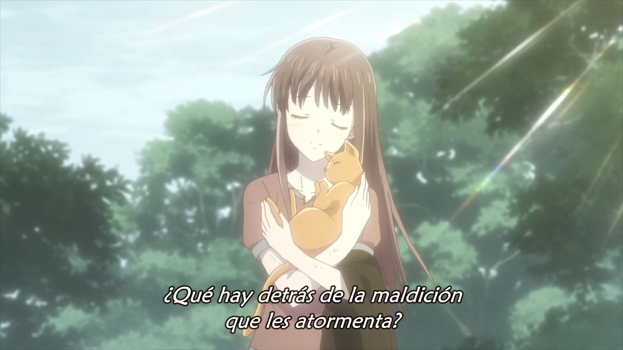 Fruits Basket 2nd Season (Seinen no Fansub, Yoru no Kousen)